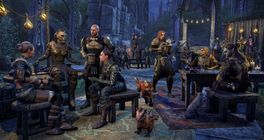Tým zodpovědný za The Elder Scrolls Online je teď stejně velký jako v dobách datadisku Summerset