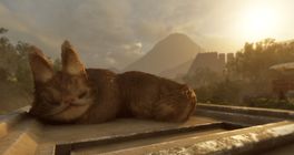 Star Wars: Galactic Racer obsahuje i Tooka kočky. Jejich předobrazem byla reálná kočka jménem Eri
