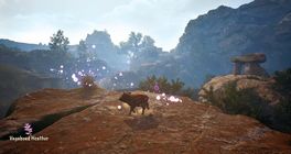 V Adorable Adventures hrajete za roztomilé selátko, které hledá svou rodinu