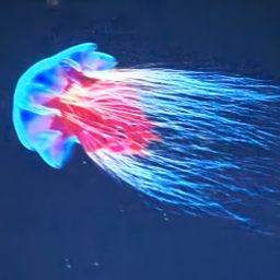 magdalenabednarova-seznam-cz