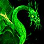 Tewet's avatar