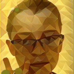 miroslavpleskoflidor