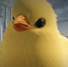 Valve přidalo do Counter-Strike 2 domácí mazlíčky. Jsou to kuřata