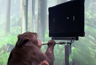 Proč je opice hrající Pong díky mozkovému implantátu velká věc
