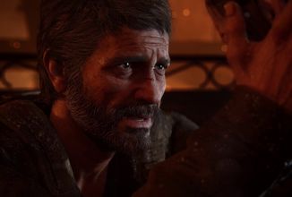 The Last of Us Part 1 PC verze (14)