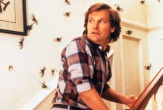 Arachnophobia-Jeff-Daniels-and-spiders-on-staircase.webp