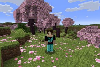 Novou šéfkou Vanilla Minecraftu je expertka na monetizaci z Ubisoftu