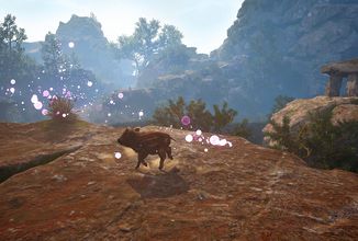 V Adorable Adventures hrajete za roztomilé selátko, které hledá svou rodinu