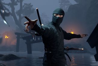 Ninja Simulator připomíná spíše akční adventuru nežli hardcore simulátor 