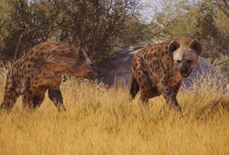 Planet Zoo 2 nabídne obnovu zničených rezervací