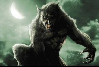 Snímek obrazovky 2026-01-27 102912.png