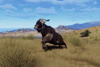 Lovecký simulátor Way of the Hunter v dalším DLC zavede hráče na Nový Zéland