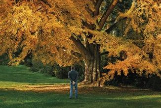 Snímek obrazovky 2026-03-11 125821.png