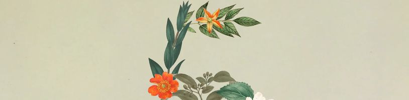 Anthropic vydal Claude Sonnet 5.5, o třetinu rychlejší a levnější model