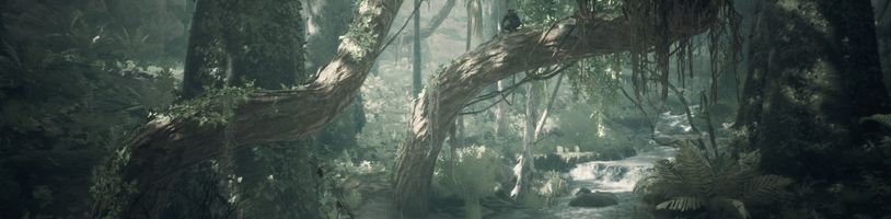 Ancestors: The Humankind Odyssey dostane v prosinci verze pro PS5, Xbox Series a Switch 2