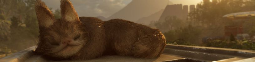 Star Wars: Galactic Racer obsahuje i Tooka kočky. Jejich předobrazem byla reálná kočka jménem Eri