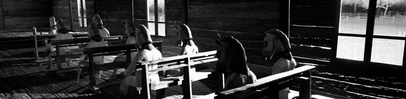 GOG brání horor Horses, který Steam zakázal. „Hráči mají mít možnost volby“