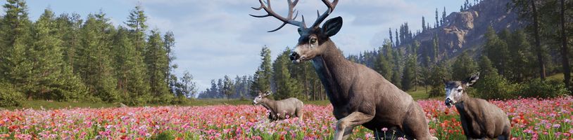 Way of the Hunter 2 má přinést novou generaci loveckého simulátoru se psem a Kanadou