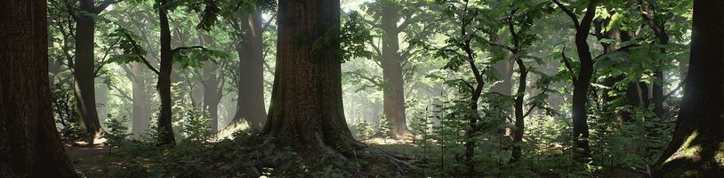 Krásný a detailní les vytvořený v Unreal Enginu 5