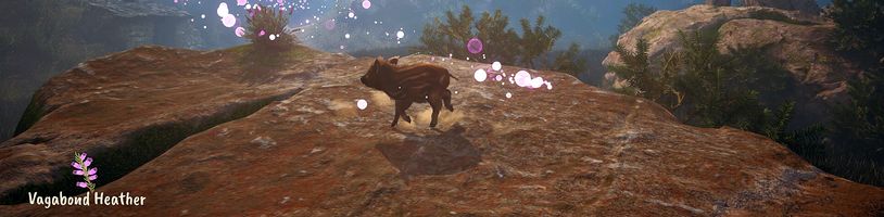 V Adorable Adventures hrajete za roztomilé selátko, které hledá svou rodinu