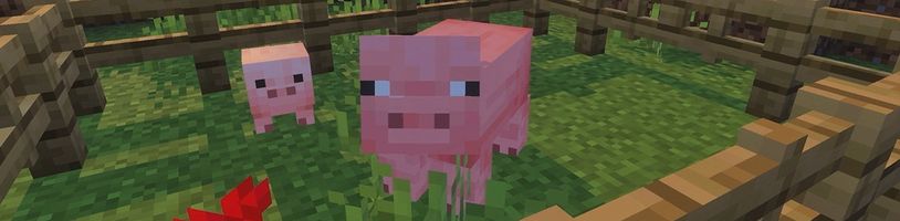Další otřes ve vedení Xboxu. Odchází bývalá šéfka Minecraftu Helen Chiang