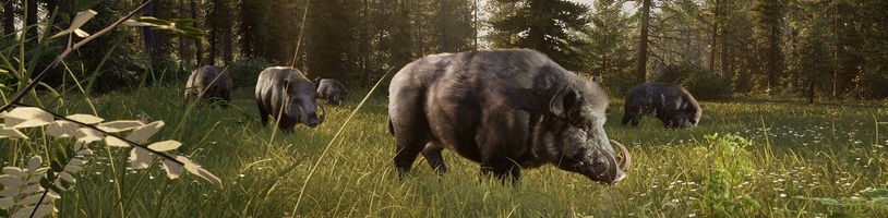 Way of the Hunter 2 míří do předběžného přístupu