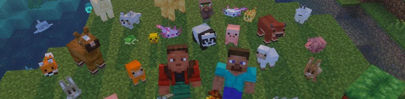 Mláďata tvorů v Minecraftu projdou výraznou proměnou