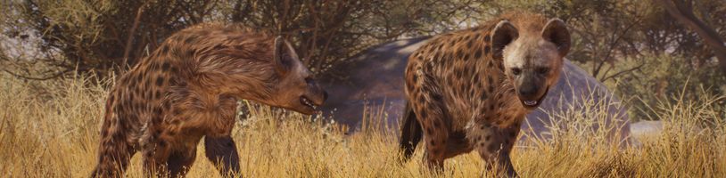 Planet Zoo 2 nabídne obnovu zničených rezervací