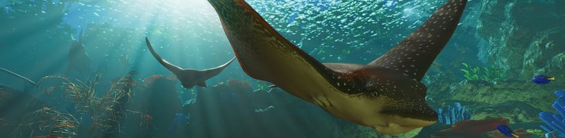 Žraloci, perutýni a filtrace vody. Planet Zoo 2 představuje akvária v novém traileru