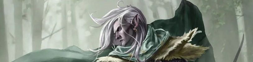 Akční Dungeons & Dragons od veterána Star Wars Jedi nevznikne