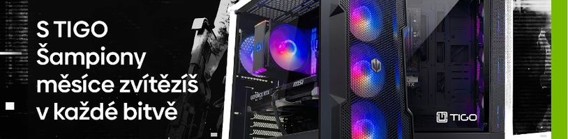 Listopad ve znamení bitev se skutečnými šampiony