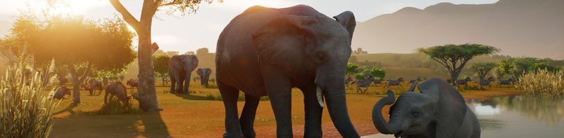 Planet Resort, Planet Studio nebo něco jiného? Tvůrci Planet Zoo chystají novou hru