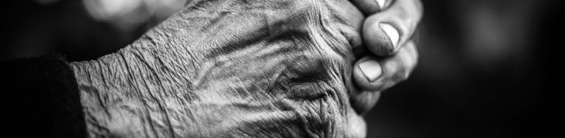 Fartmagedon je česká hra o životě seniora v moderním světě. Slibuje pořádnou dávku absurdního humoru