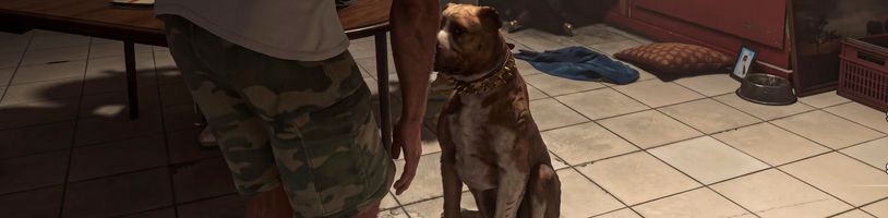 V GTA 6 můžete pohladit psa. A pak jeho hovínkem bombardovat NPC