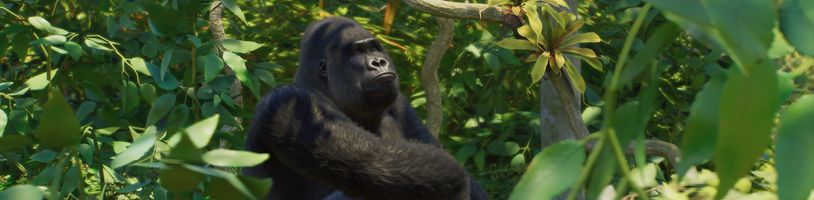Planet Zoo 2 se chlubí novými možnosti stavění zoologických zahrad