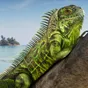 GTA 6 má výrazně více předobjednávek na PS5. Xbox ale tvrdí, že také láme rekordy