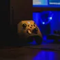 Microsoft v Evropě výrazně zdražil konzole Xbox Series X a Xbox Series S