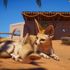 Planet Zoo: Africké DLC přináší surikaty, pouštní lišky a další zvířata