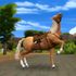 Jízda divokým západem v The Sims 4 Koňský ranč