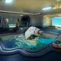 Další velký únik před vydáním. Po Forze Horizon 6 a LEGO Batmanovi se na internetu objevila i Subnautica 2