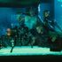 Nvidia s ray-tracingem ukázala Cyberpunk 2077, Watch Dogs Legion, nové Black Ops i Fortnite