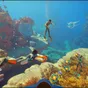 První gameplay záběry lákají na nebezpečnou mimozemskou planetu ve hře Subnautica 2
