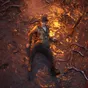 Kalendář hráče: Tohle jsou nejlepší hry, co vycházejí v srpnu