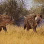 Planet Zoo 2 nabídne obnovu zničených rezervací