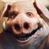 Tvůrce Michel Ancel poprvé promluvil o problémovém vývoji Beyond Good & Evil 2 a zrušení WiLD