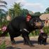 Divukrásná zvířata z Oceánie zavítají do Planet Zoo