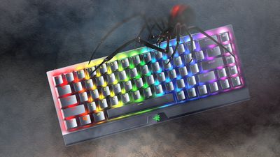 Klávesnice pro náročné - Razer Blackwidow V3 Mini Hyperspeed Phantom Edition