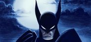 batmancapedcrusader-60a47868bdee69-13382775-jpg (0)