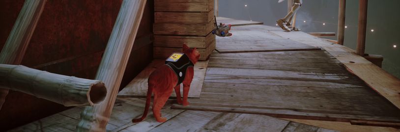 Listopadové nabídce PlayStation Plus vévodí kočičí Stray