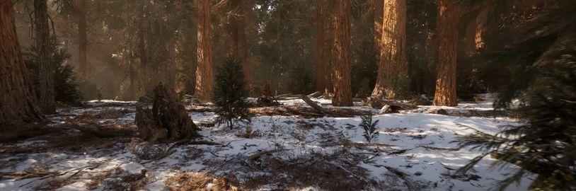V Unreal Enginu 5.1 s Nanite lze vytvořit působivý a realistický les